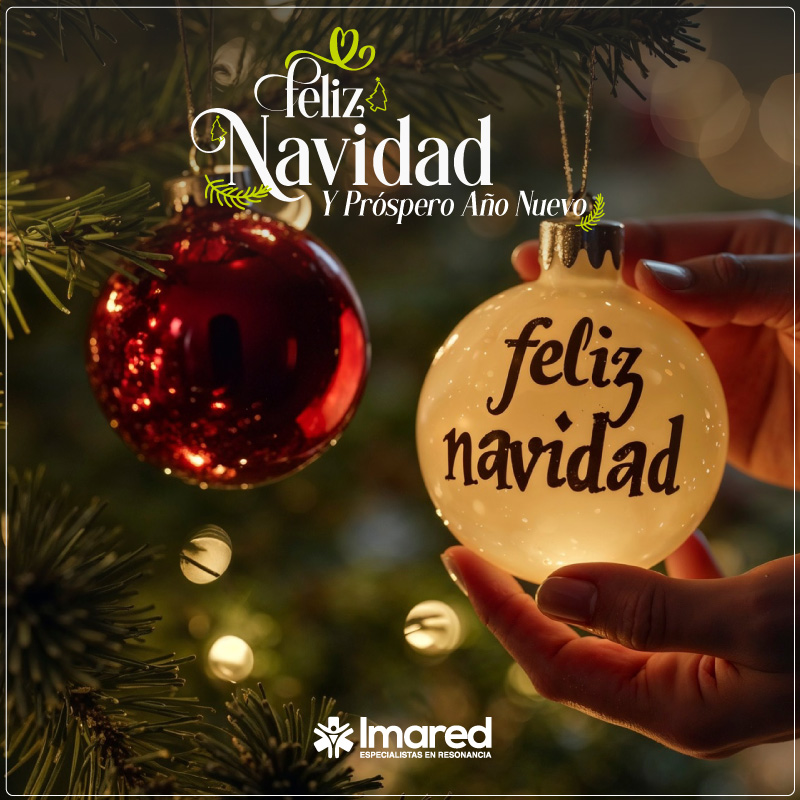 Feliz Navidad y Próspero Año Nuevo