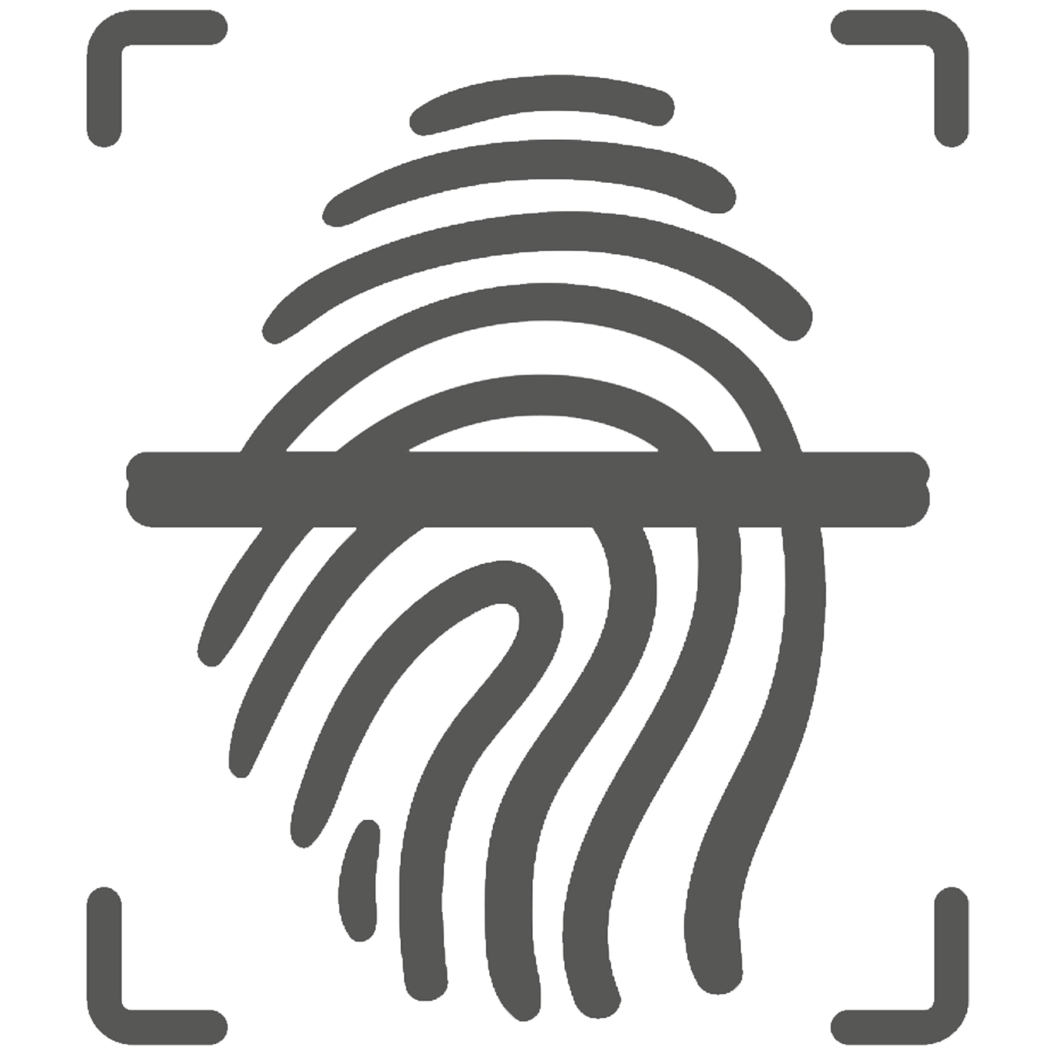 Bono Electrónico Imed